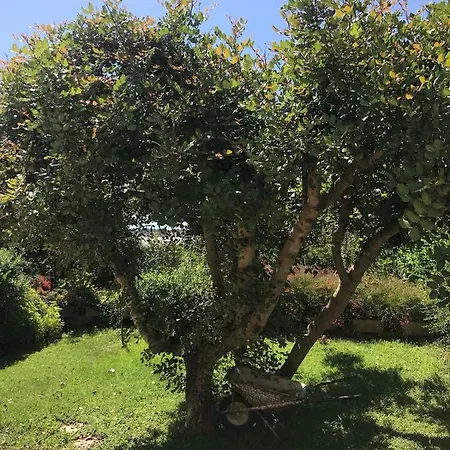 Casa Padronale Villa *